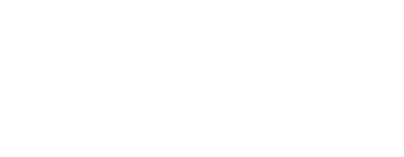 Novel Audio